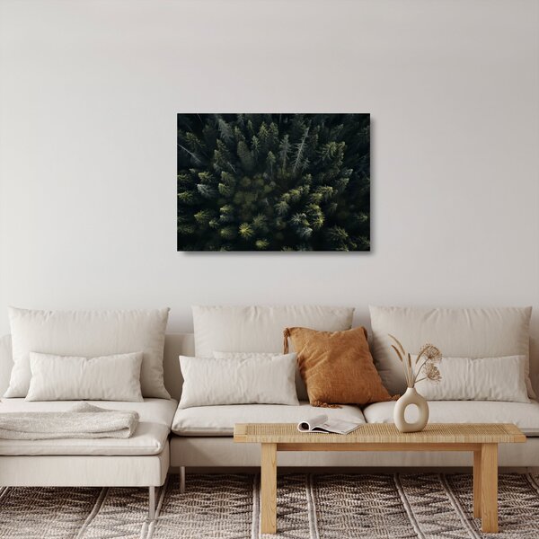 Obraz na szkle - Las (70x50 cm)