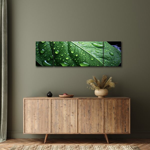 Obraz - Szczegół liścia po deszczu (170x50 cm)