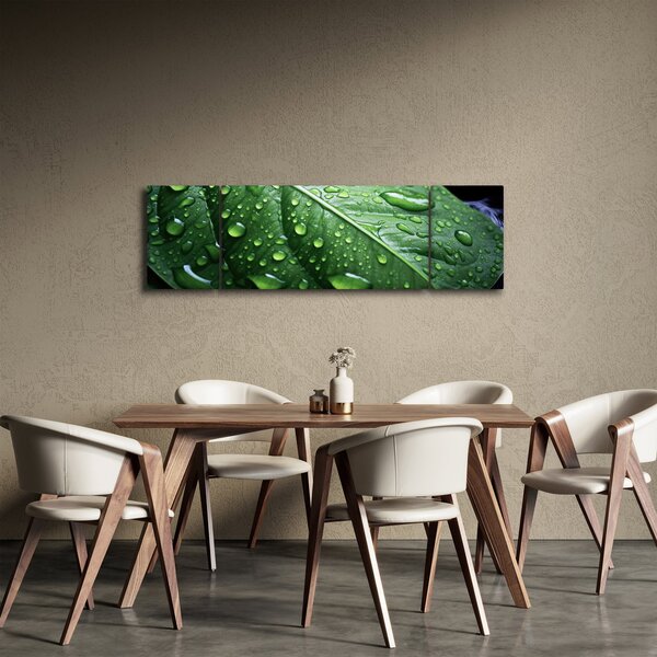 Obraz - Szczegół liścia po deszczu (170x50 cm)
