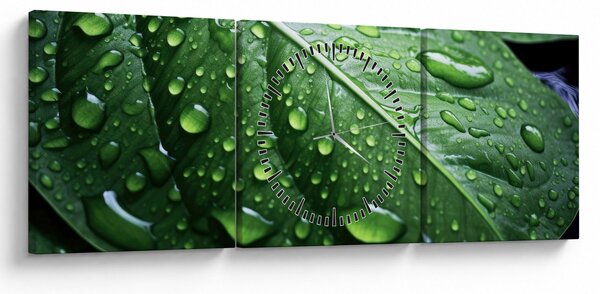 Obraz - Szczegół liścia po deszczu (z zegarem) (90x30 cm)