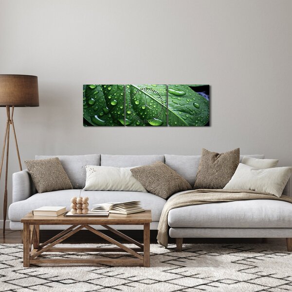 Obraz - Szczegół liścia po deszczu (z zegarem) (90x30 cm)