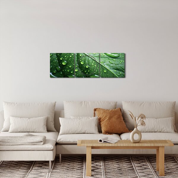 Obraz - Szczegół liścia po deszczu (z zegarem) (90x30 cm)