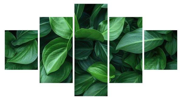 Obraz - Zielone liście (125x70 cm)