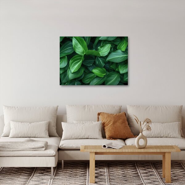 Obraz - Zielone liście (70x50 cm)