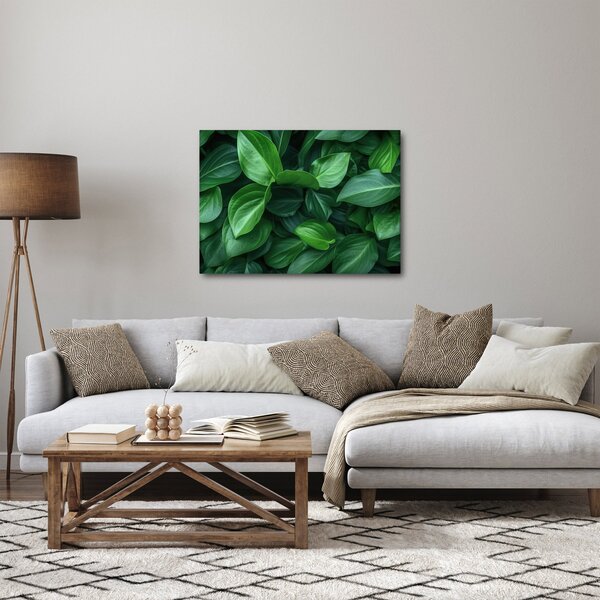 Obraz - Zielone liście (70x50 cm)
