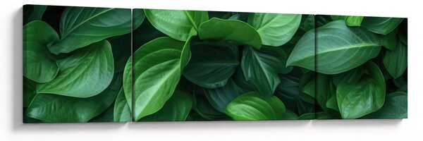 Obraz - Zielone liście (170x50 cm)