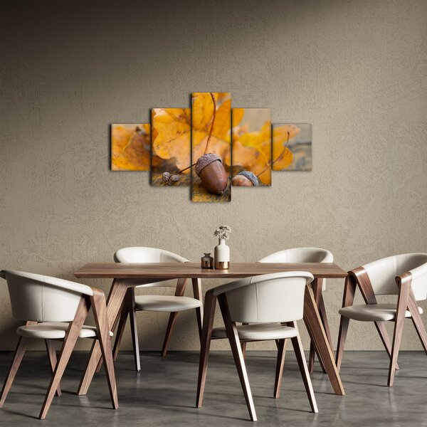 Obraz - Jesienne żołędzie (125x70 cm)