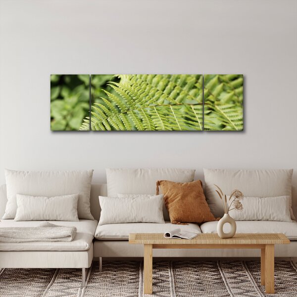 Obraz - Liść paproci (170x50 cm)