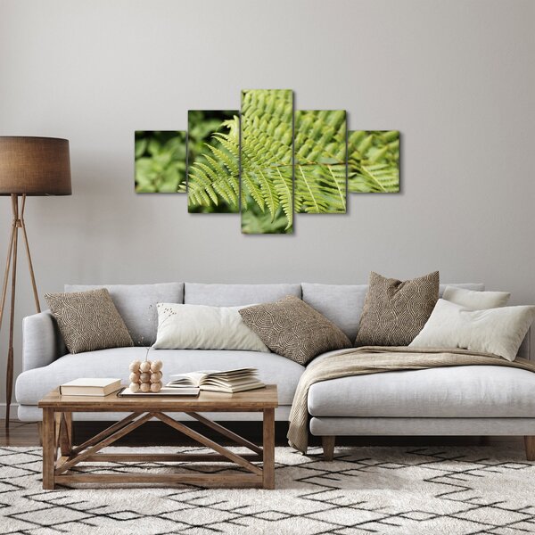 Obraz - Liść paproci (125x70 cm)
