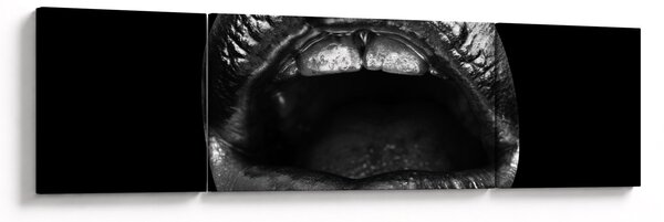 Obraz - Błyszczące usta (170x50 cm)