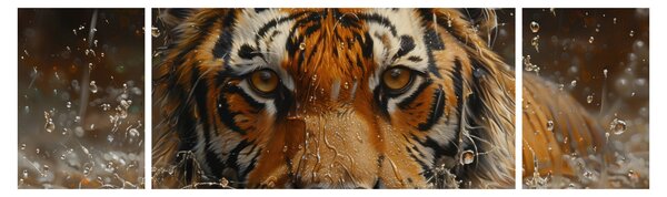 Obraz - Portret tygrysa w wodzie (170x50 cm)