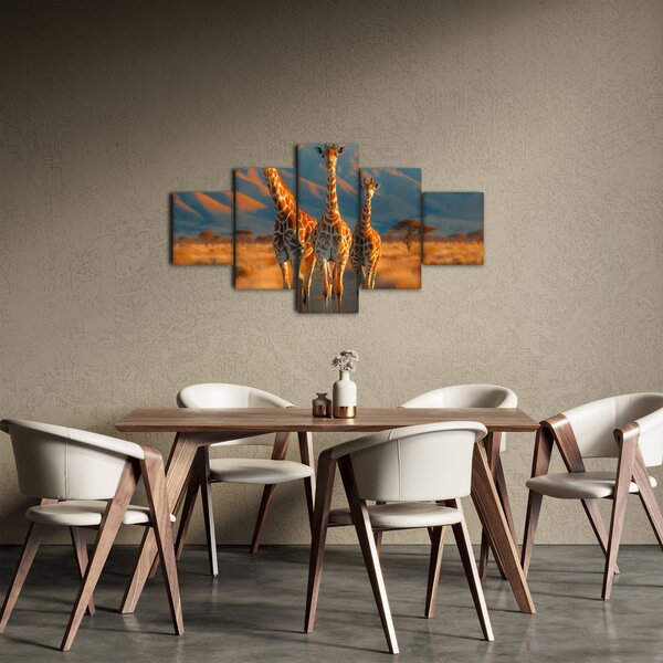 Obraz - Żyrafy na pastwisku (125x70 cm)