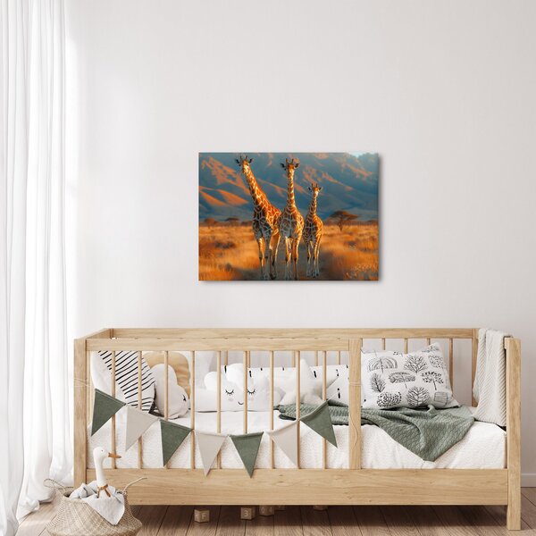 Obraz - Żyrafy na pastwisku (70x50 cm)