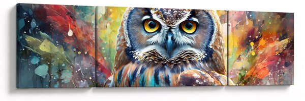 Obraz - Malowanie sowy (170x50 cm)