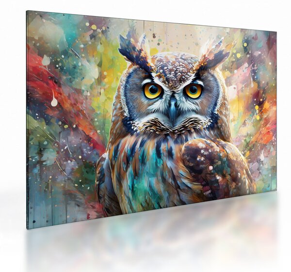Obraz na szkle - Malowanie sowy (70x50 cm)