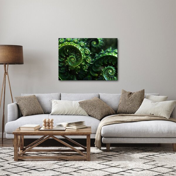 Obraz - Spirale (70x50 cm)