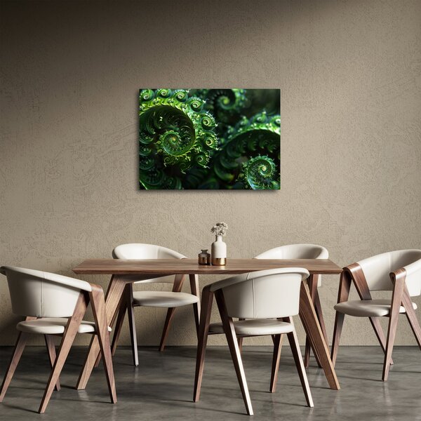 Obraz - Spirale (70x50 cm)