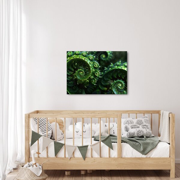 Obraz - Spirale (70x50 cm)