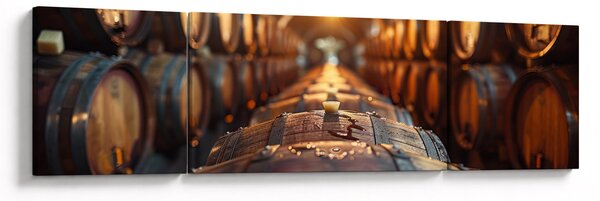 Obraz - Piwniczka na wino (170x50 cm)