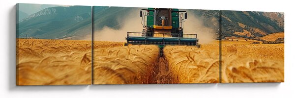 Obraz - Zemedelec (170x50 cm)