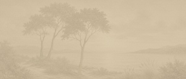 Fototapeta Drzewo w zamglonym krajobrazie, Fototapety Natura, Popularne Fototapety, t00815v1 - Tapeko.pl