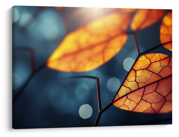 Obraz - Tekstura liści (70x50 cm)