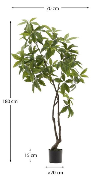 Sztuczna roślina (wysokość 180 cm) Pachira – Kave Home