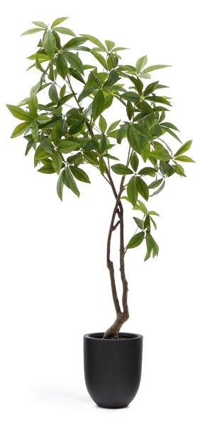 Sztuczna roślina (wysokość 180 cm) Pachira – Kave Home