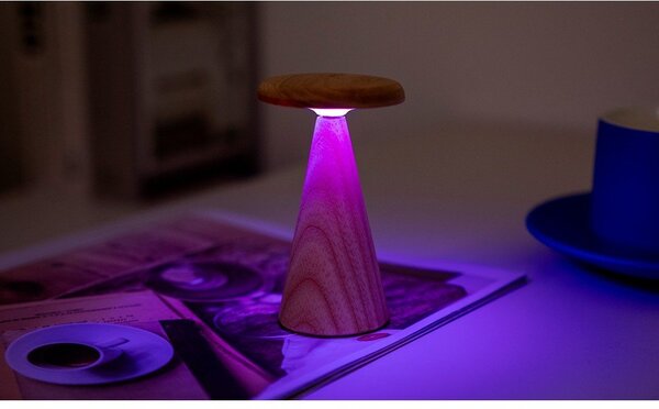 Lampa stołowa LED w naturalnym kolorze z drewnianym kloszem (wysokość 14 cm) Sylva – Gingko