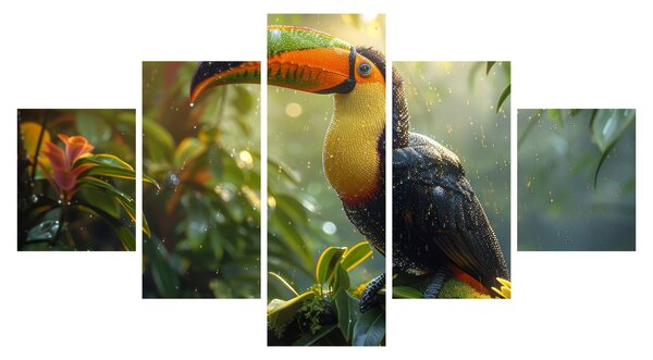 Obraz - Tukan (125x70 cm)