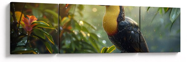 Obraz - Tukan (170x50 cm)