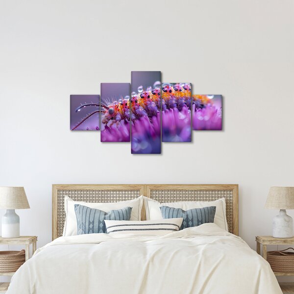 Obraz - Caterpillar (125x70 cm)