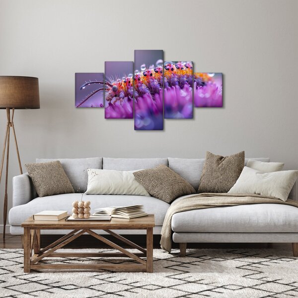 Obraz - Caterpillar (125x70 cm)
