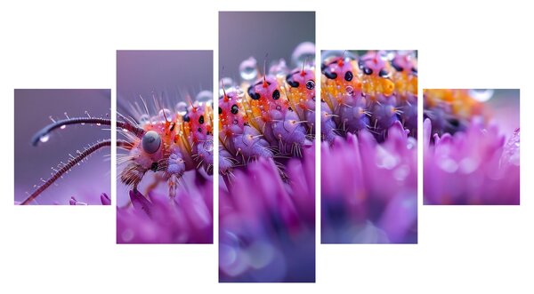 Obraz - Caterpillar (125x70 cm)