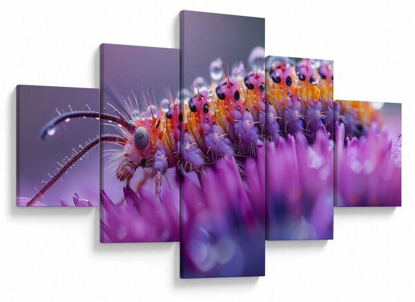 Obraz - Caterpillar (125x70 cm)