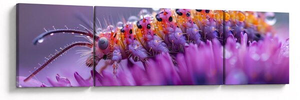 Obraz - Caterpillar (170x50 cm)