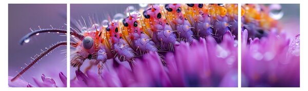 Obraz - Caterpillar (170x50 cm)