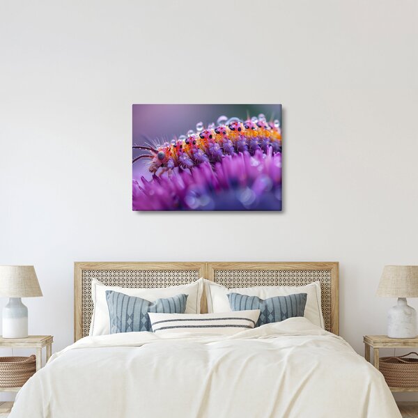 Obraz - Caterpillar (70x50 cm)
