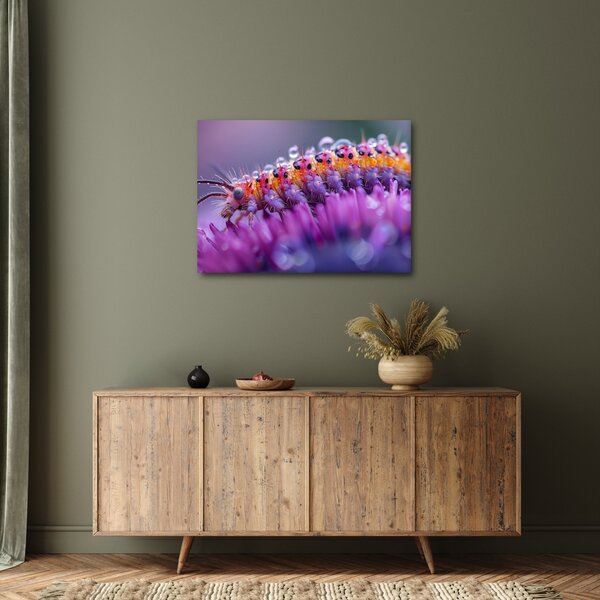 Obraz - Caterpillar (70x50 cm)