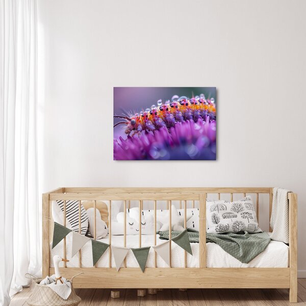 Obraz - Caterpillar (70x50 cm)