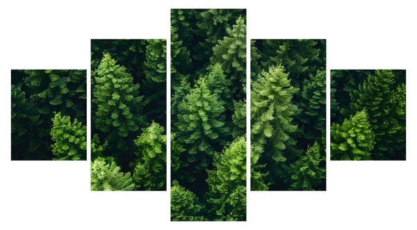 Obraz - Las (125x70 cm)