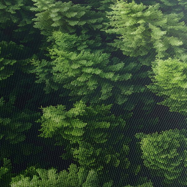 Obraz - Las (70x50 cm)