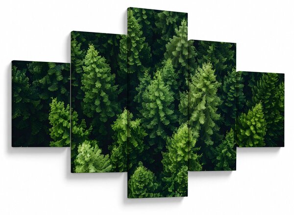 Obraz - Las (125x70 cm)