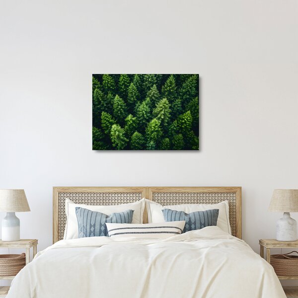 Obraz na szkle - Las (70x50 cm)