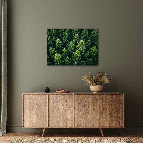 Obraz - Las (70x50 cm)