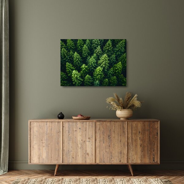 Obraz na szkle - Las (70x50 cm)