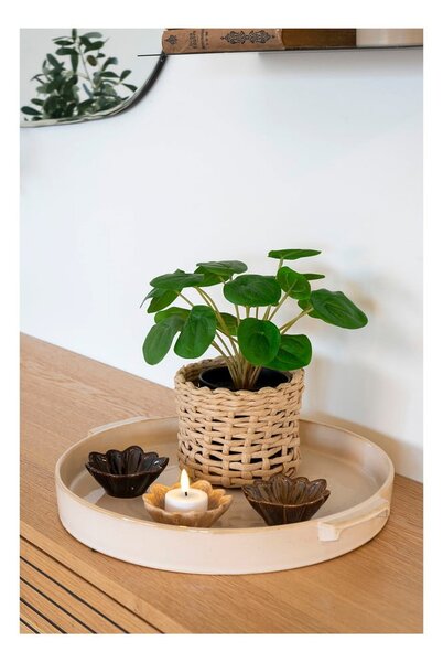 Sztuczna roślina (wysokość 28 cm) Pelia – House Nordic