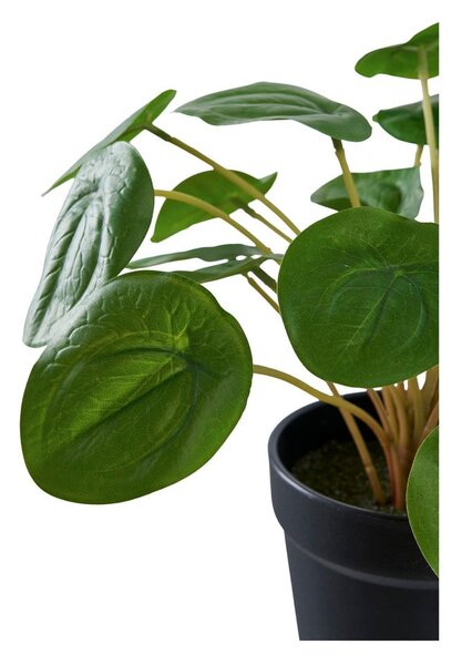 Sztuczna roślina (wysokość 28 cm) Pelia – House Nordic