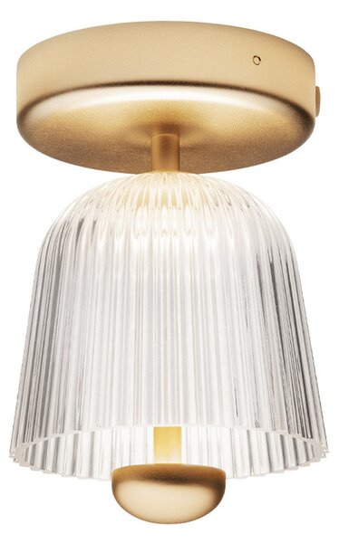 Lampa Sufitowa Nuura Aps, Asteea, ściemnialny, złoty | mosiężny, salon, metal, skandynawski