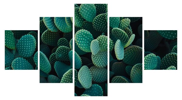 Obraz - Opuncja (125x70 cm)